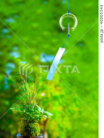 風鈴と苔玉 風鈴と苔玉 40005543