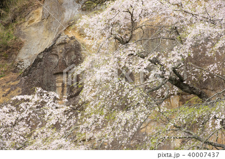 春の岩面大佛 岩手県 春の岩面大佛 岩手県 40007437
