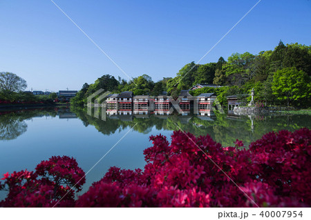 長岡天満宮/八条が池 長岡天満宮/八条が池 40007954