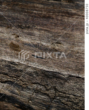 木目　自然素材 40008750
