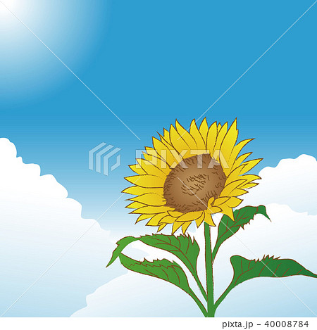 sunflower-sky1 40008784