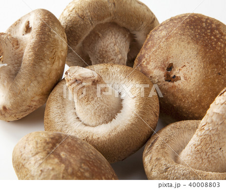 椎茸 椎茸 40008803