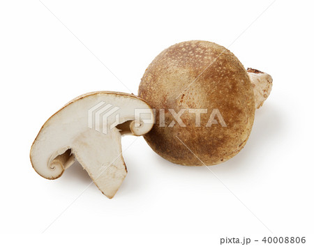 椎茸 40008806