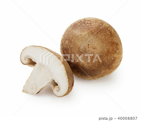 椎茸 40008807