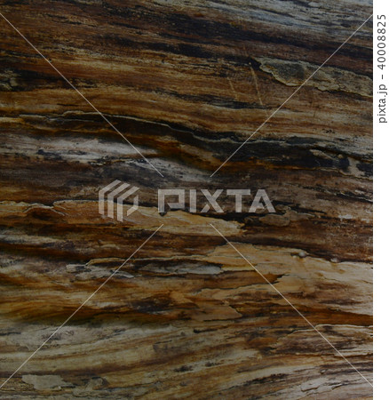 木目調　自然素材　縦 40008825