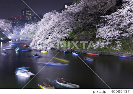 千鳥が淵ライトアップ、さくら祭り、東京の春 千鳥が淵ライトアップ、さくら祭り、東京の春 40009457