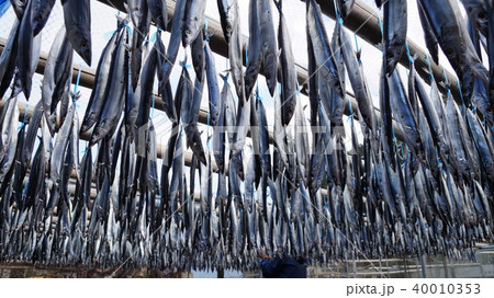 サンマの丸干し サンマの丸干し 40010353