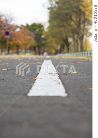 道路 センターライン 道路 センターライン 40010538