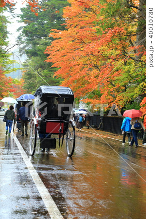 秋の角館武家屋敷通り 人力車と紅葉風景 秋の角館武家屋敷通り 人力車と紅葉風景 40010780