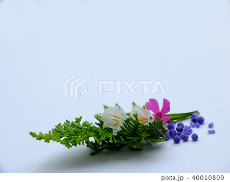 花 花 40010809