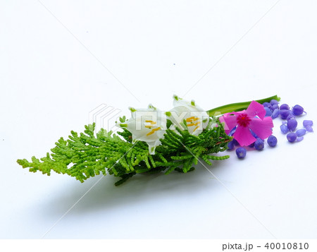 花 40010810
