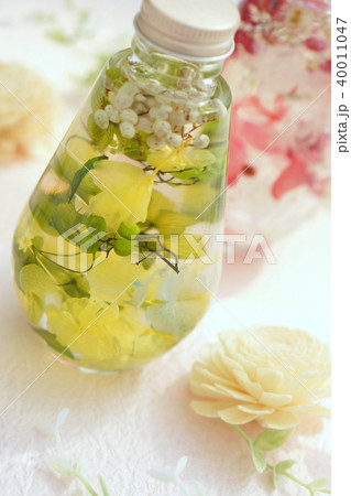 ハーバリウム 40011047