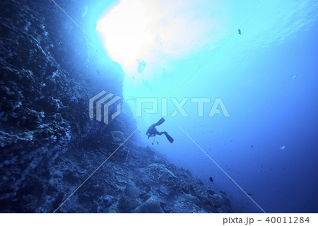 scuba driving scuba driving 40011284