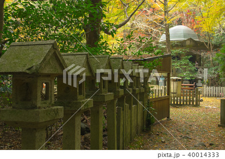 犬鳴山・山道の風景 犬鳴山・山道の風景 40014333