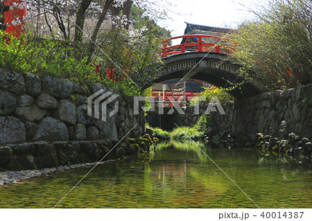 下賀茂神社 下賀茂神社 40014387