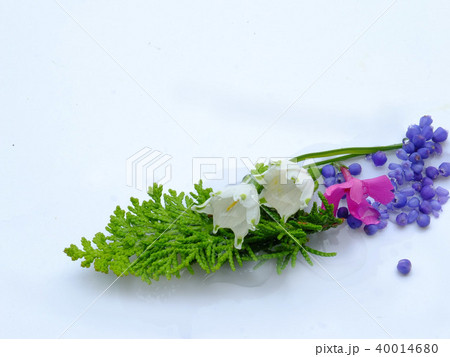 花 40014680