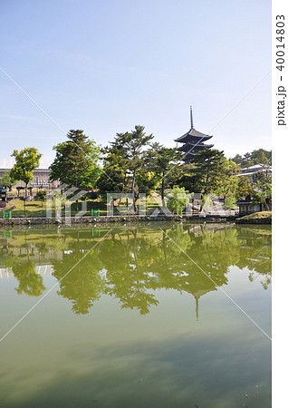 興福寺 40014803