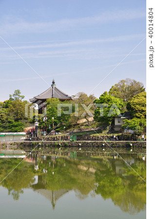 興福寺 興福寺 40014804