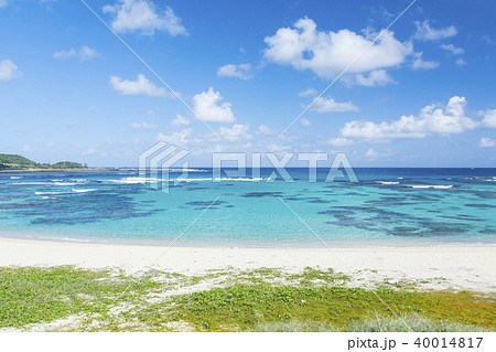 奄美大島土盛海岸 40014817