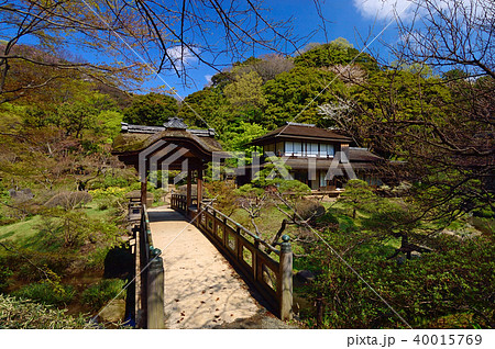 神奈川県横浜市　三溪園　春 40015769