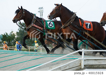 ばんえい競馬 ばんえい競馬 40015928