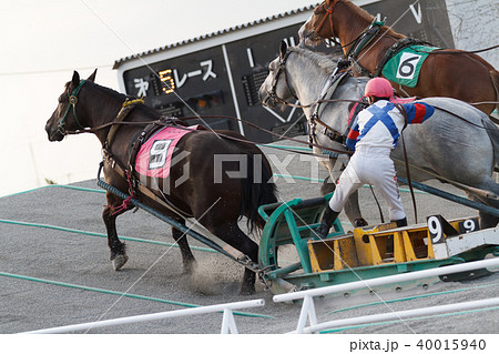 ばんえい競馬 40015940