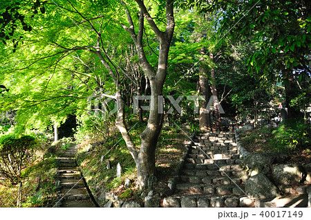 九品寺 九品寺 40017149
