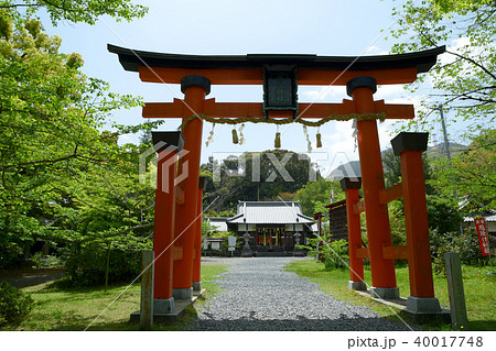 世界遺産 新緑の丹生官省符神社 世界遺産 新緑の丹生官省符神社 40017748
