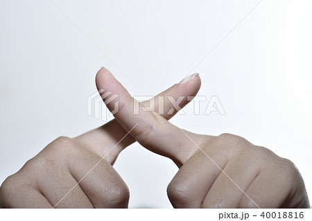 バッテン 40018816