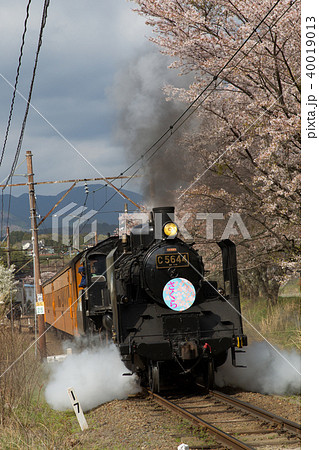 大井川鉄道C56形蒸気機関車牽引のSL客車列車 40019013