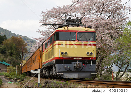 大井川鉄道C56形蒸気機関車牽引のSL客車列車 大井川鉄道C56形蒸気機関車牽引のSL客車列車 40019016