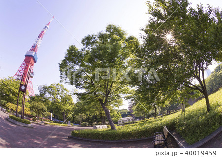 東京タワーと新緑、青空の広がる東京 東京タワーと新緑、青空の広がる東京 40019459