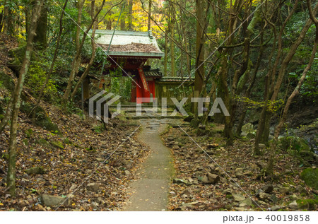 犬鳴山・山門へ続く道 犬鳴山・山門へ続く道 40019858