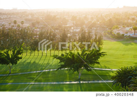 Juicy green of golf course during sunset Juicy green of golf course during sunset 40020348