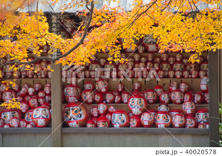 勝尾寺・紅葉と達磨 勝尾寺・紅葉と達磨 40020578