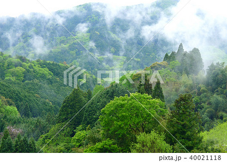 世界遺産 雨上がりの紀伊山地 世界遺産 雨上がりの紀伊山地 40021118