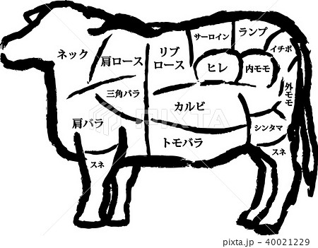 牛肉の部位説明イラストのイラスト素材