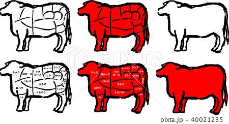 牛肉の部位説明イラスト セットのイラスト素材