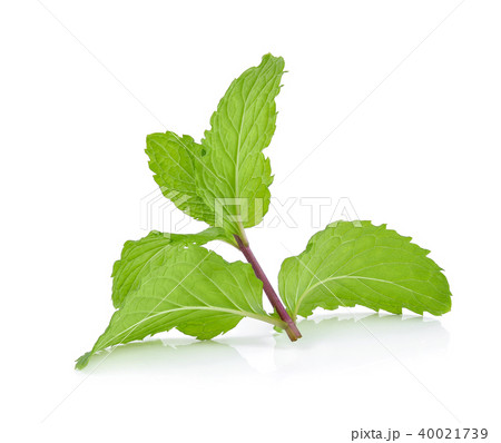 peppermint isolated on the white background. 40021739