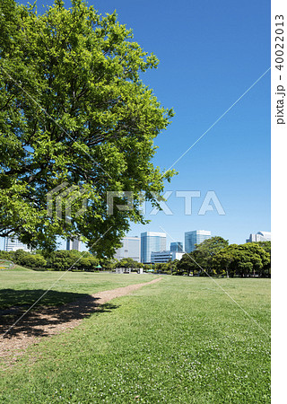 高層ビルが見える広い公園 40022013