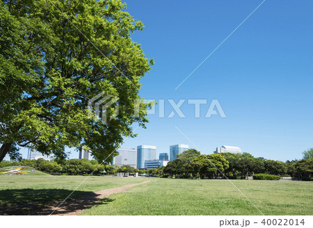 高層ビルが見える広い公園 40022014