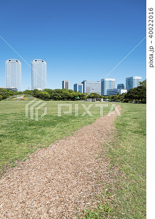 高層ビルが見える広い公園 40022016