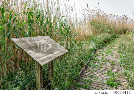 Ruined walk in the nature 40024412