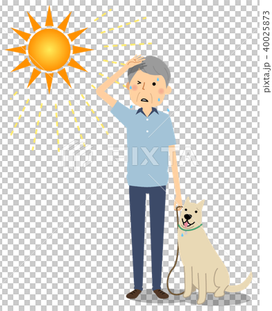 年長人陽光狗走 40025873