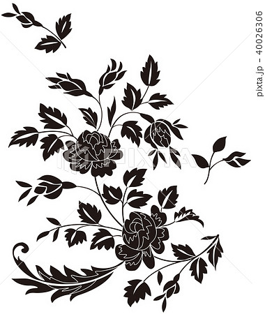 野ばら ブラック 野ばら ブラック 40026306