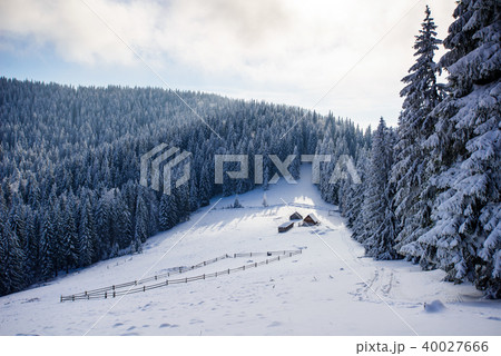 Beautiful winter landscape 40027666