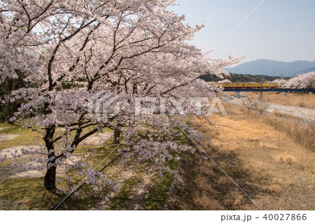 三岐鉄道の春 40027866