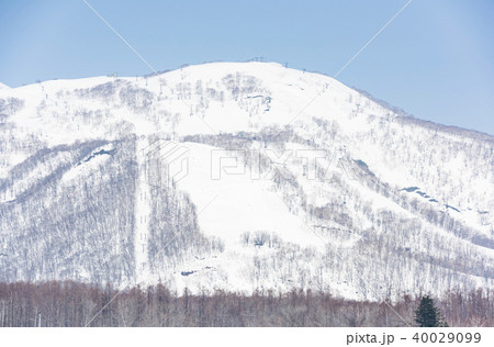ニセコアンヌプリ（スキー場 遠景） 40029099