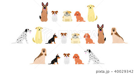 いろいろな犬のボーダーセット２ 40029342