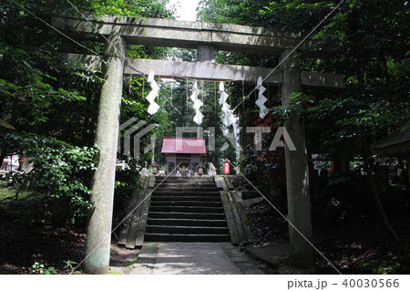 栃木県・岩戸別神社 40030566